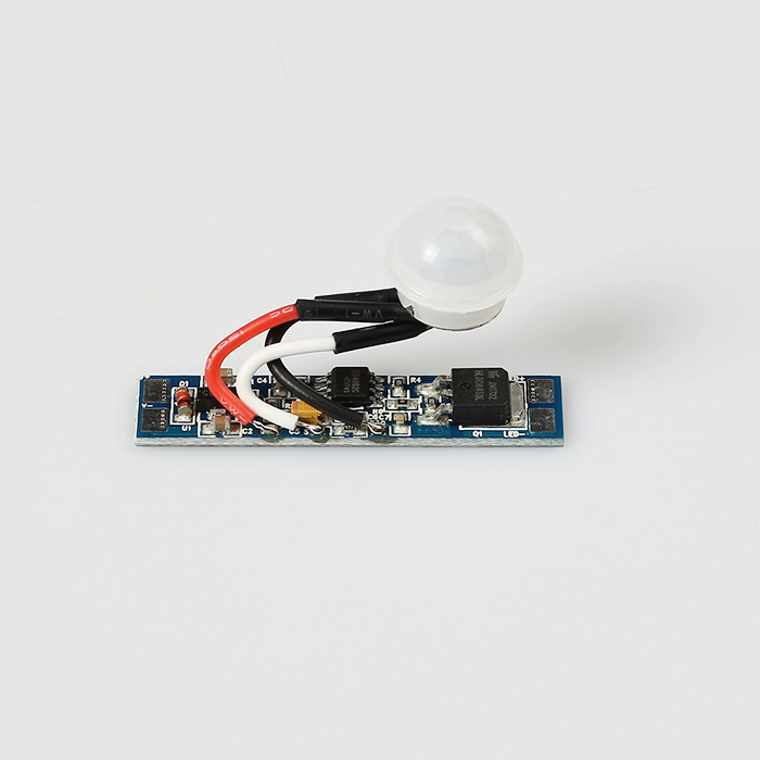 PIR001 (Motion Sensor)