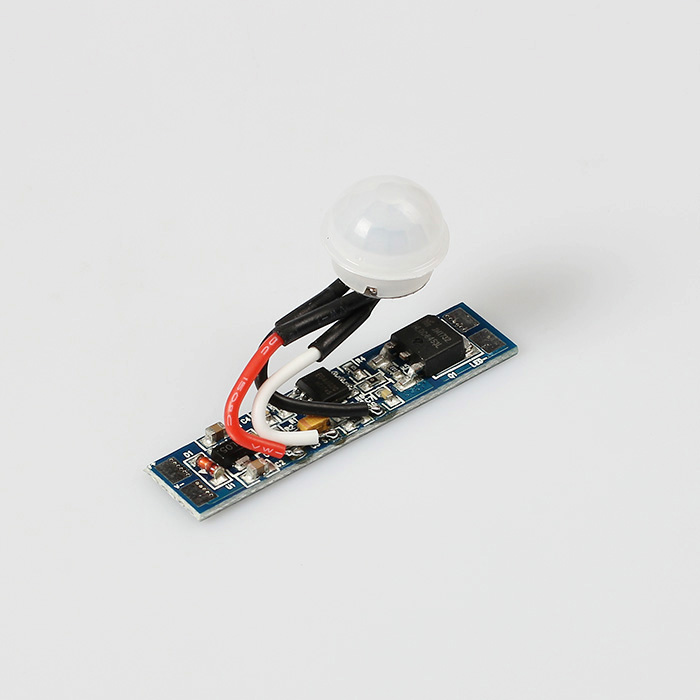 PIR001 (Motion Sensor)